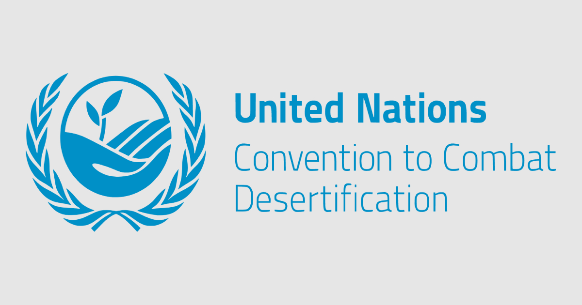 Ukraine, Gaza conflicts prioritized over African desertification — UNCCD conference