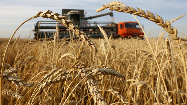 Russia plans to send 200,000 tons of wheat to Africa by year’s end