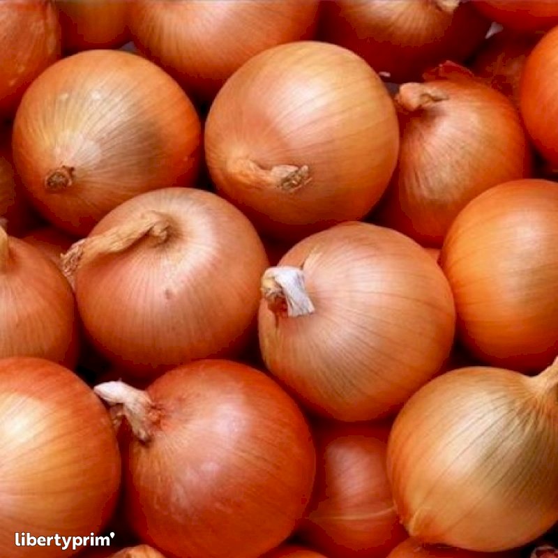 Egypt expands ban on onion exports till end March 2024