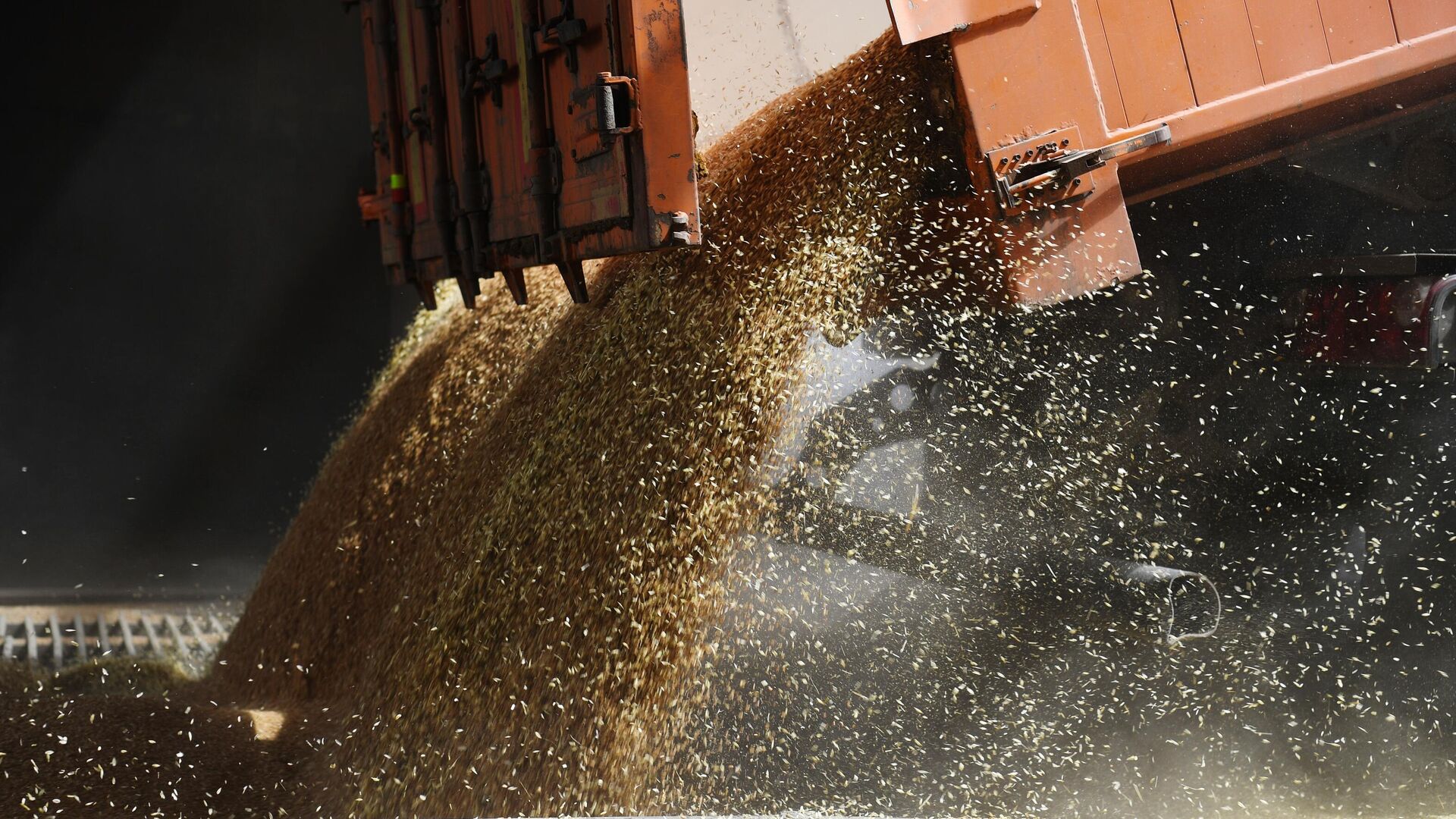 Russia donates Mali 25,000 tons of wheat