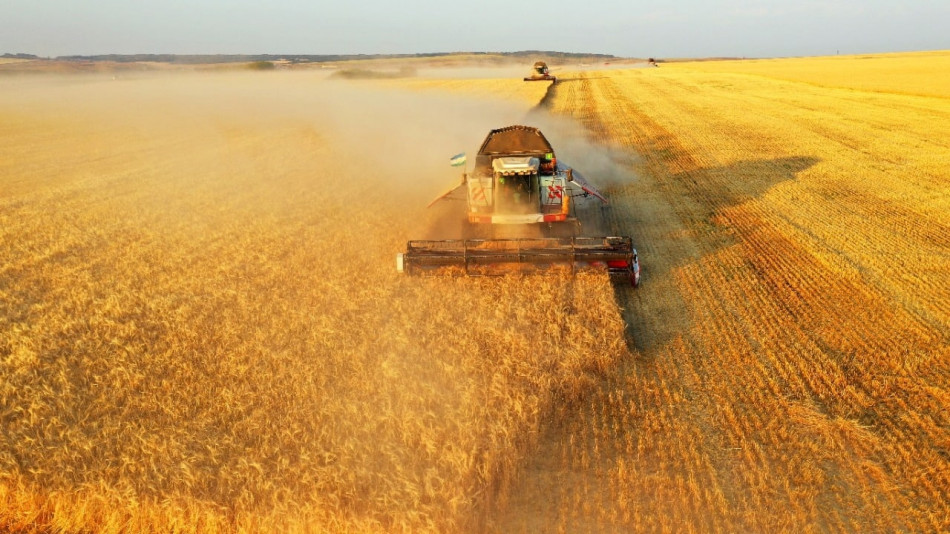 Morocco diversifies wheat suppliers in 2023