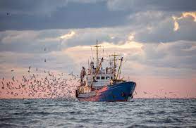 African countries ‘robbed’ of $11bn in annual revenues by ‘incognito’ fishing vessels