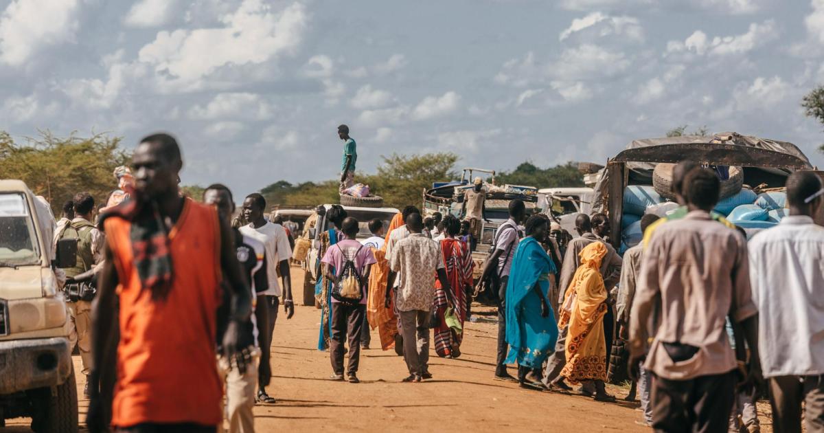Displacement in sub-Saharan Africa driven by conflict, violence, climate shocks — IOM report