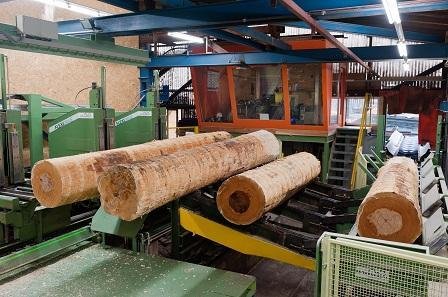 Wood Processing, catalyst for Africa’s industrialization – report