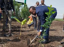 Ethiopia to plant 5 billion trees to fight climate change