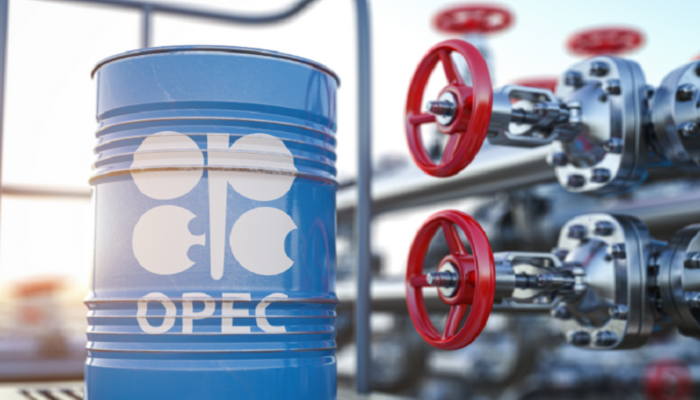 Namibia eyes OPEC membership as large-scale oil production looms