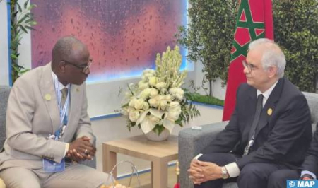 World Water Forum: Morocco, Mali to strengthen cooperation in water realms
