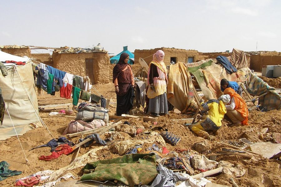 UN urged to send international committees to monitor human rights in Tindouf camps in Algeria