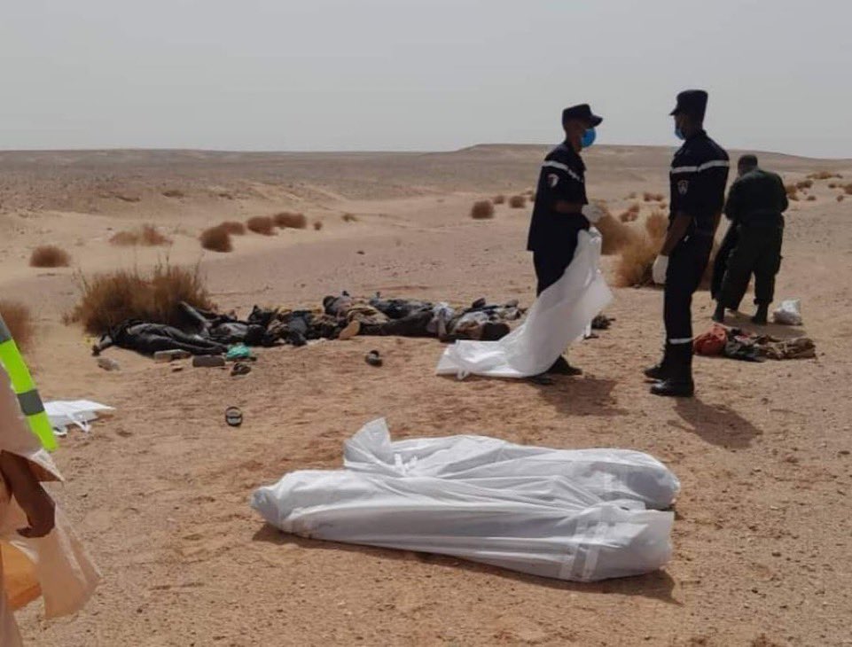 Algeria: 12 Syrian migrants died of thirst & hunger in southern desert