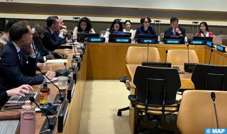 AI & sustainable development in Africa, subject matter of meeting in New York