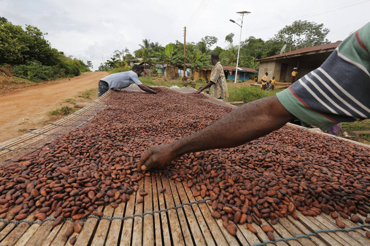 Ghana’s cocoa harvest below average this season