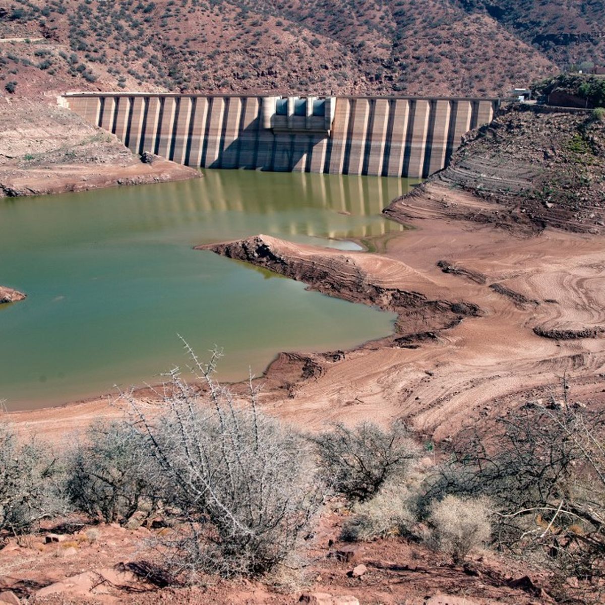 Morocco’s farming sector to the test of drought