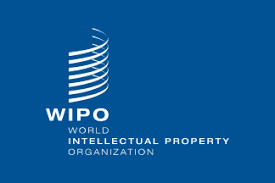 WIPO: Egypt in the top 100 global science and technology clusters