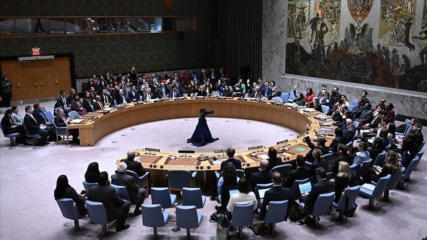 African Nations push for permanent UN Security Council Seat