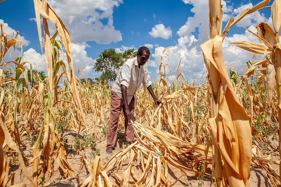 Southern African drought affects 68 million people- regional grouping says