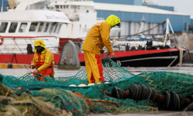 Morocco’s Mediterranean ports: 13% drop in fishing landings, 8% increase in value in Jan-Aug