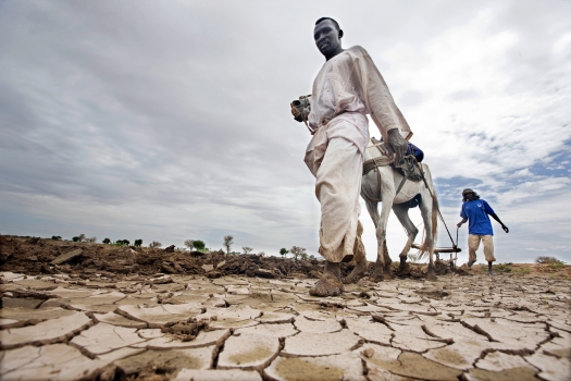 Climate change costs Africa 5% of its GDP- study