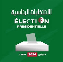 Algeria’s Tebboune re-elected president amid vote rigging concerns