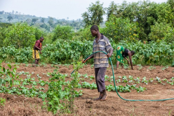 AfDB lends Togo $103mln to support climate resilient farming