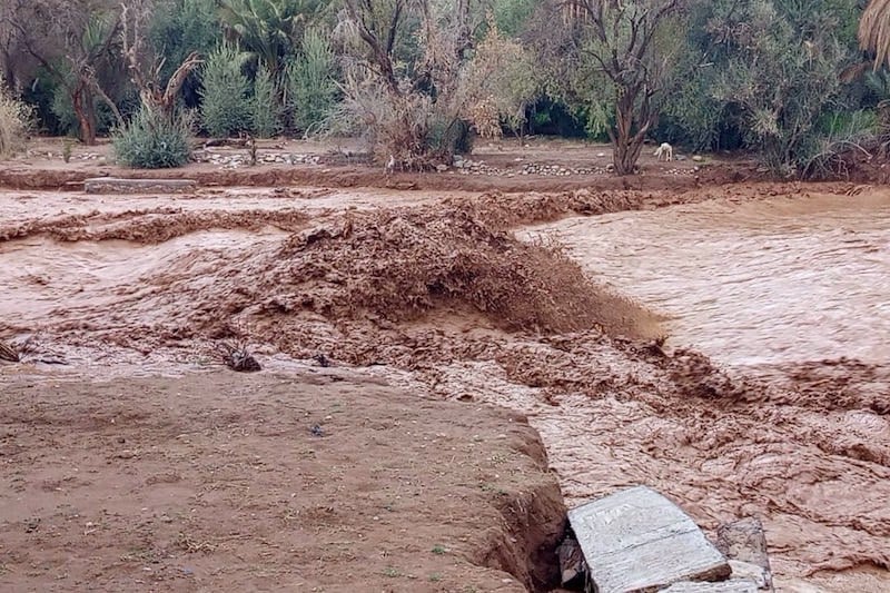 Morocco launches rehabilitation program for flood-affected areas