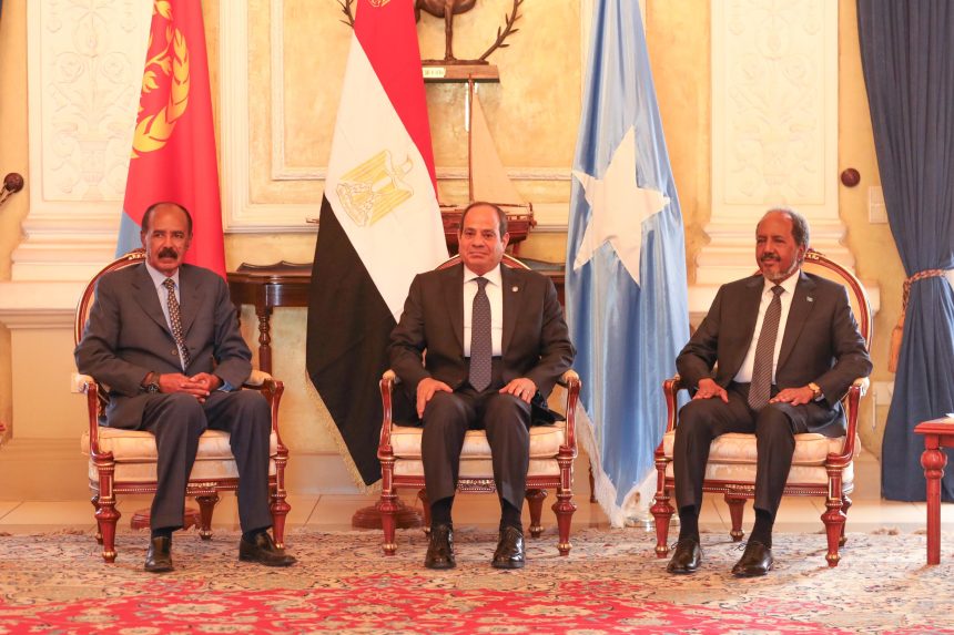 Somalia welcomes Egypt’s offer to deploy troops