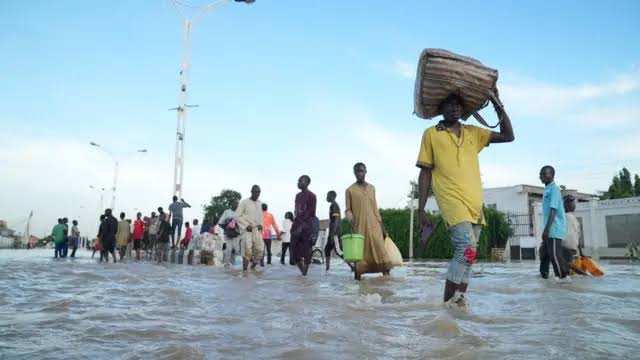 Nigeria, Algeria struggle with cholera outbreak