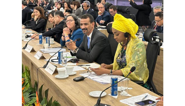 At G20, African Union calls for creation of International Fund to protect, preserve African Heritage