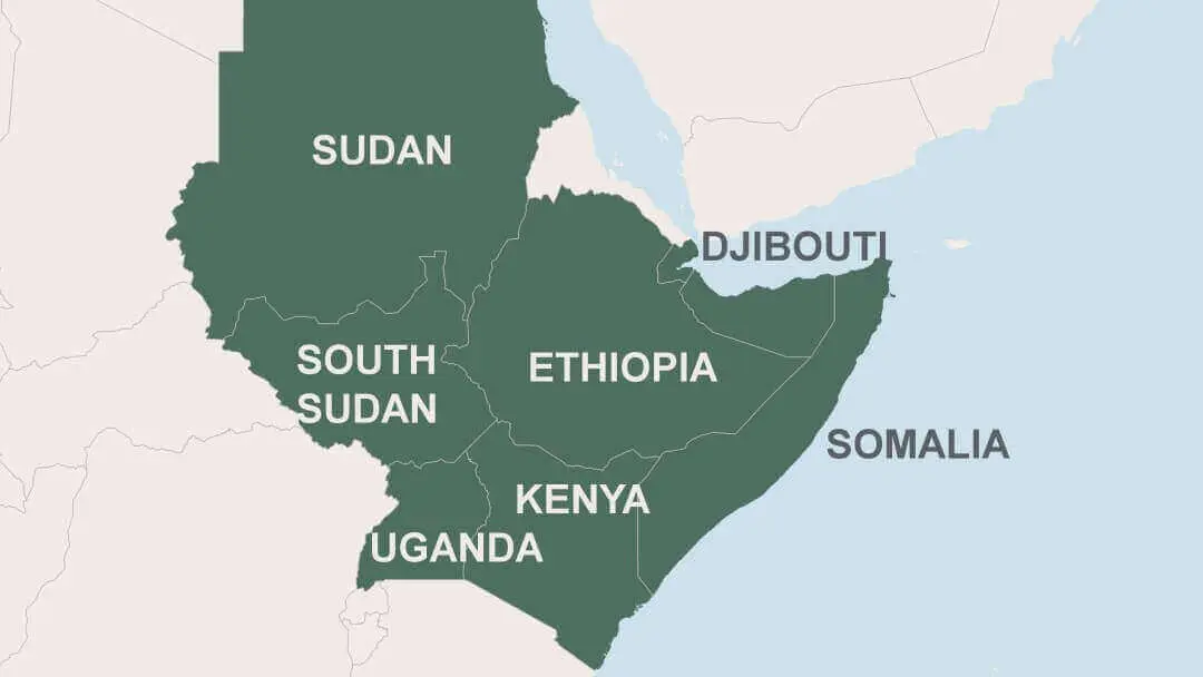 Horn of Africa: long-term peace to come from regional integration, cooperation — UNDP report