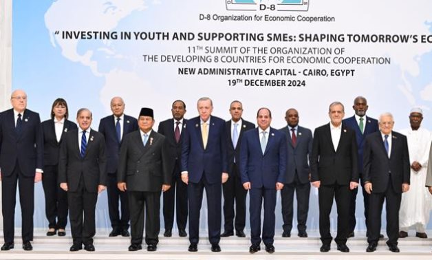 Egypt hosts eleventh D8 Summit