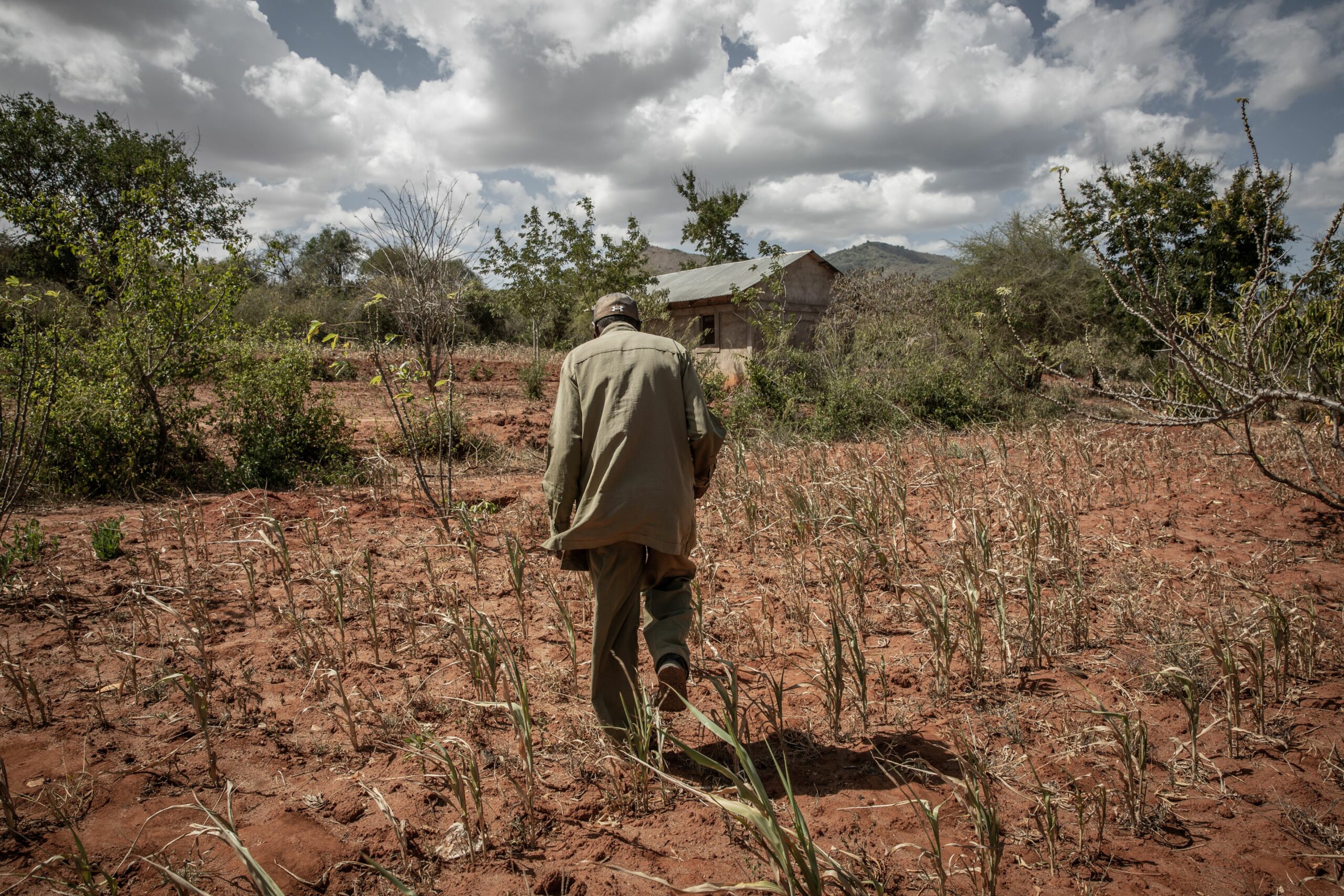 Kenya grapples with worst drought in four decades