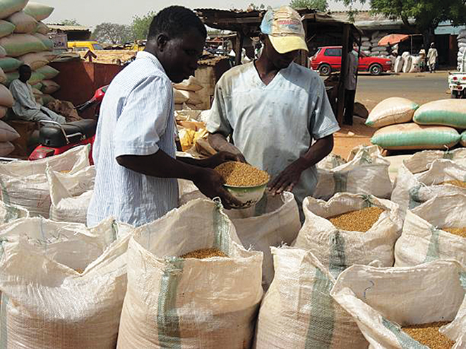 Inflation-hit Nigeria to criminalize corn exports to meet local needs