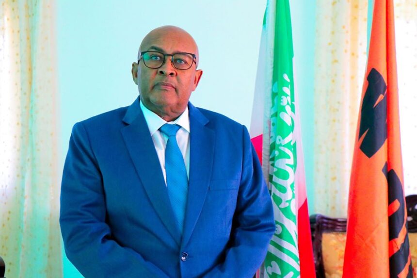 Somaliland’s newly-sworn president to face complex internal, external challenges