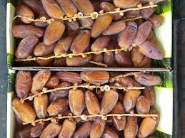 Tunisian dates exports surge