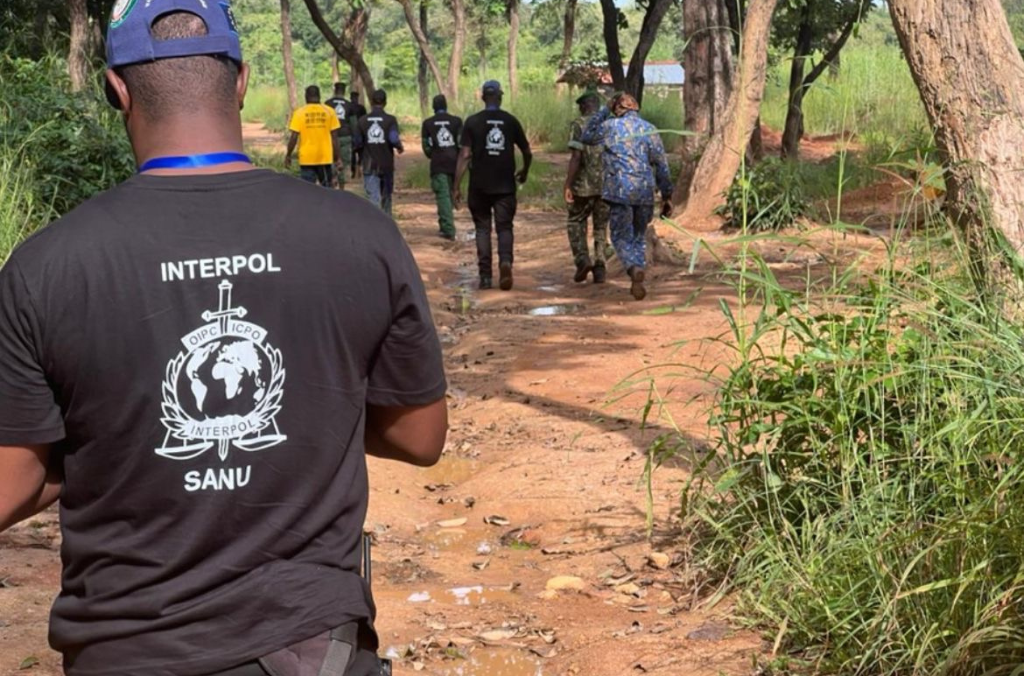 Interpol’s coordinated strike targets illicit mining networks in West Africa