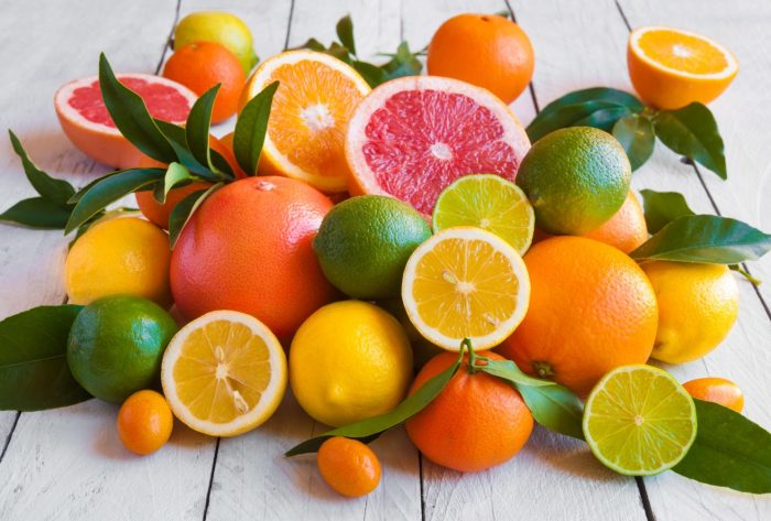 Morocco emerges as top player in global citrus market with record export growth