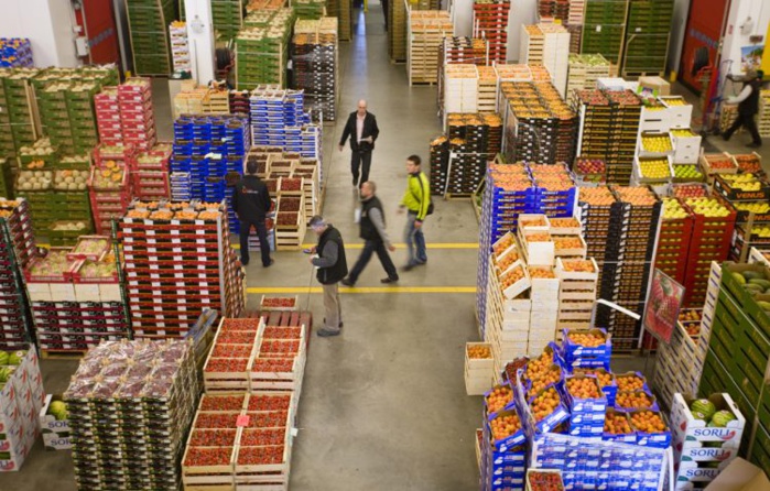 Morocco-EU trade up 7% in 2024