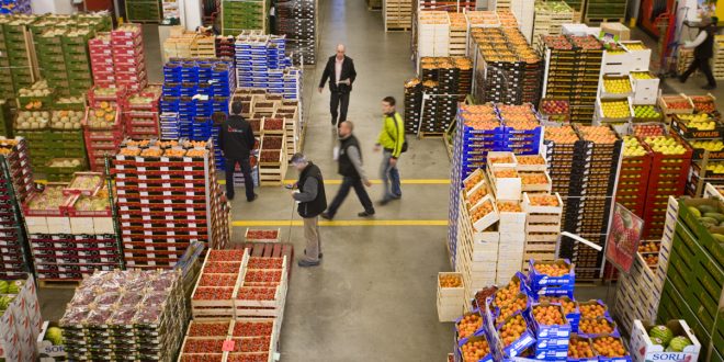 Morocco: Wholesale traders anticipate stable sales through third quarter