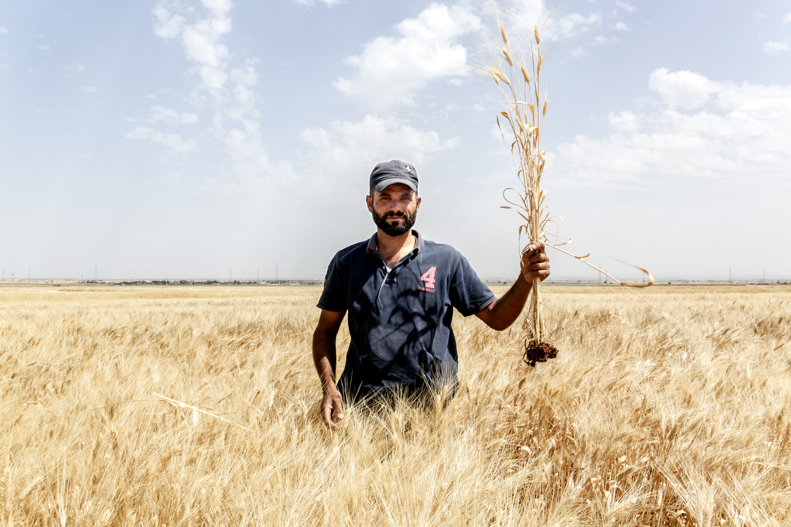 FAO Warns of Escalating Desert Locust Threat Across North Africa and the Sahel