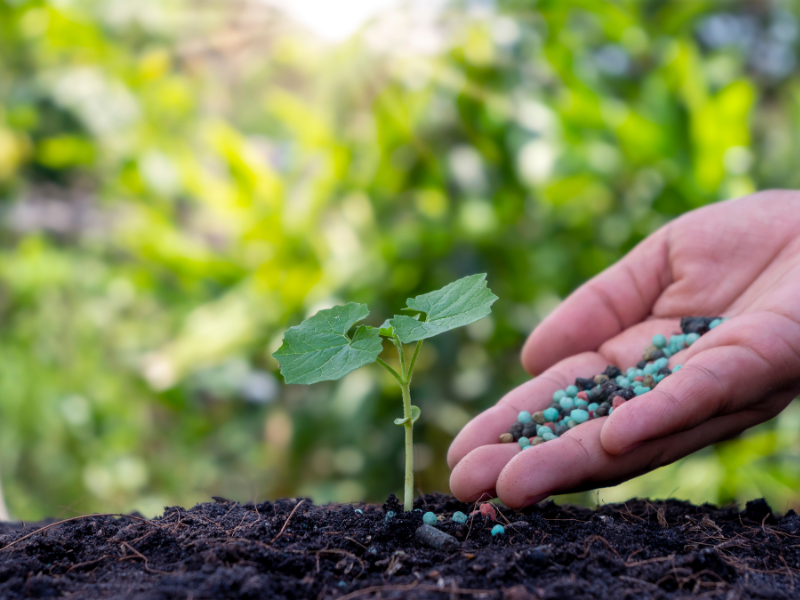 Morocco, Egypt profit as global fertilizer prices surge 15 percent
