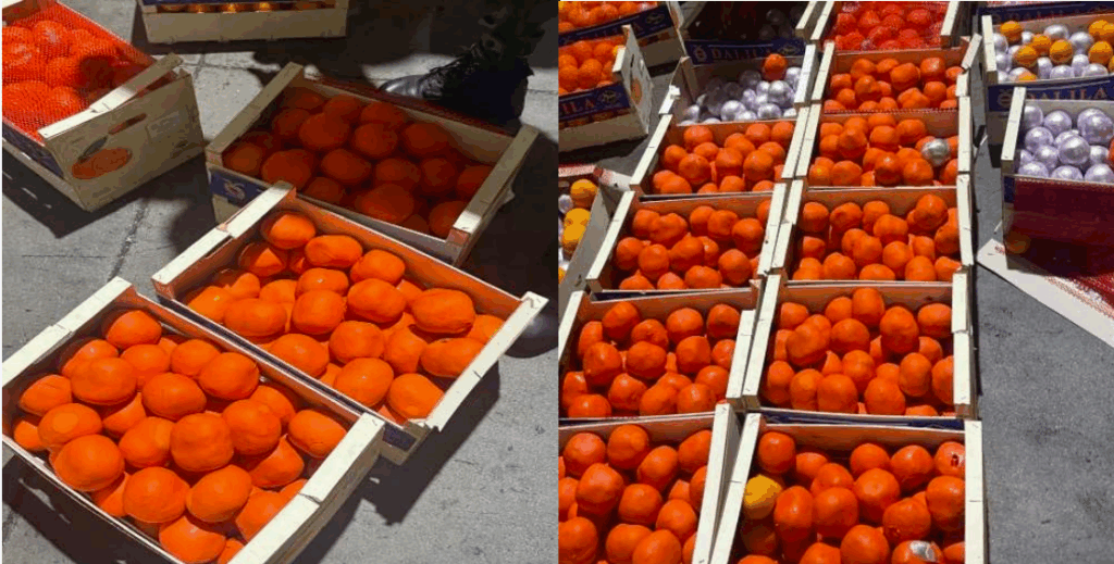 Morocco: Trafficking attempt of over 4 tons of cannabis resin foiled at Tanger Med