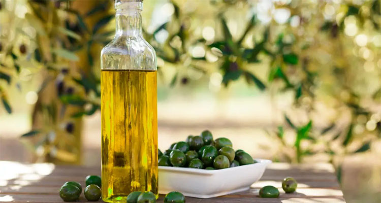 Tunisia’s Food Trade Surplus Shrinks Amid Falling Olive Oil Exports and Import Decline Tunisia’s Food Trade Surplus Shrinks Amid Falling Olive Oil Exports and Import Decline