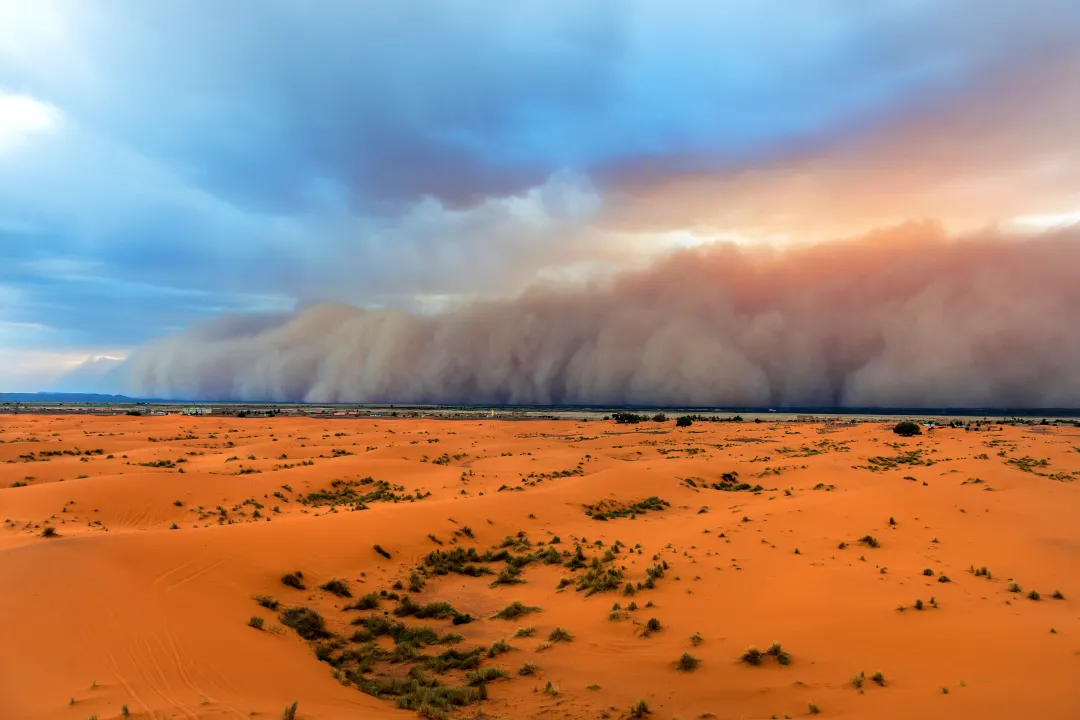 Storms without borders: UN warns of growing global crisis from sand and dust