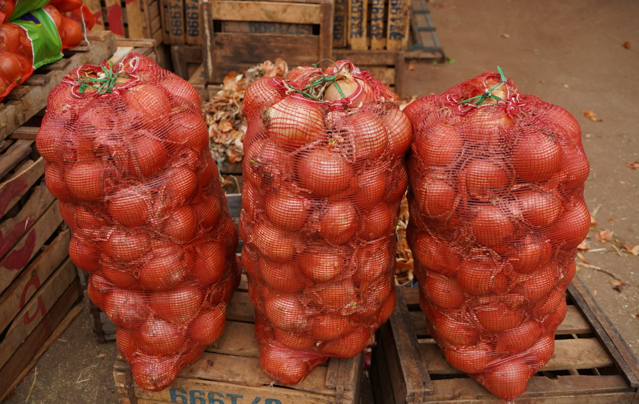 Morocco achieves historic onion export record following trade liberalization