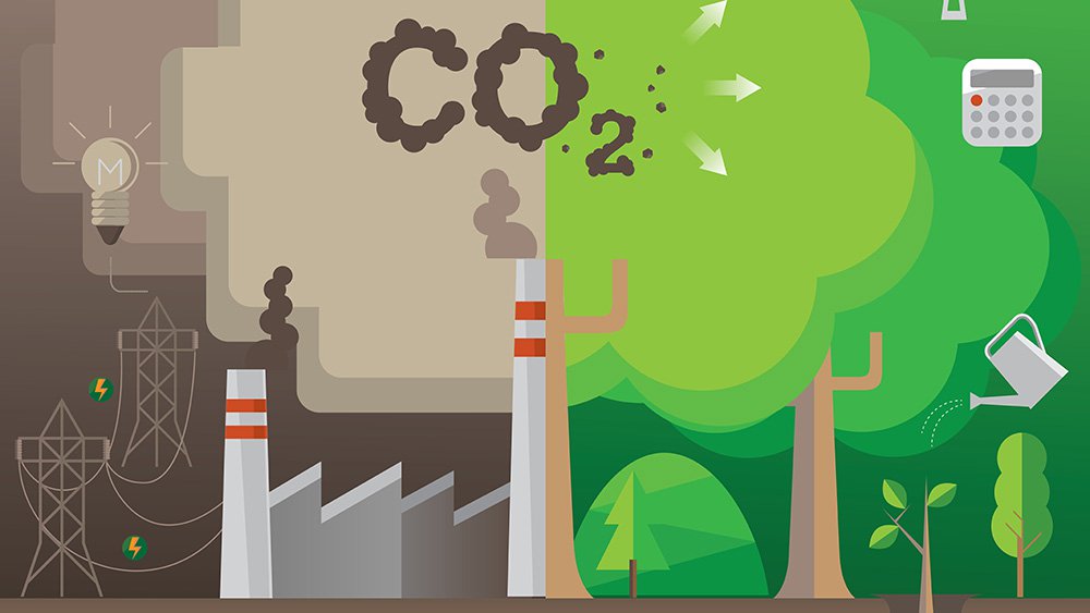 Singapore taps Africa’s carbon credits to fuel net-zero ambitions