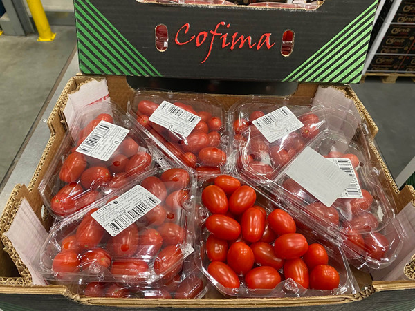 French, Spanish lobbies target Moroccan tomatoes amid EU trade uncertainty