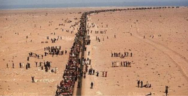 Green March: Morocco celebrates five decades of resilience, perseverance, unity, inclusive development Green March: Morocco celebrates five decades of resilience, perseverance, unity, inclusive development