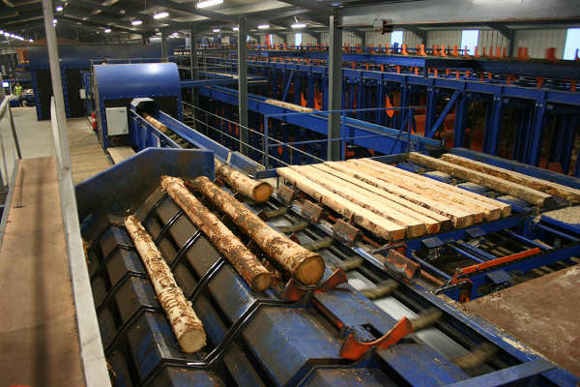 Morocco’s wood industry paradox: $500 million potential hampered by import dependence