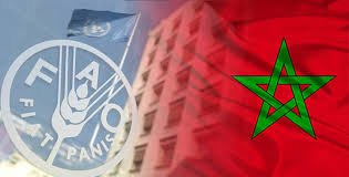 Morocco elected to vice-presidency of FAO Council